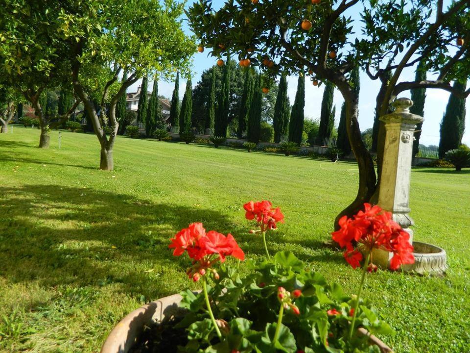 Villa Lucilla Altavilla Silentina 外观 照片