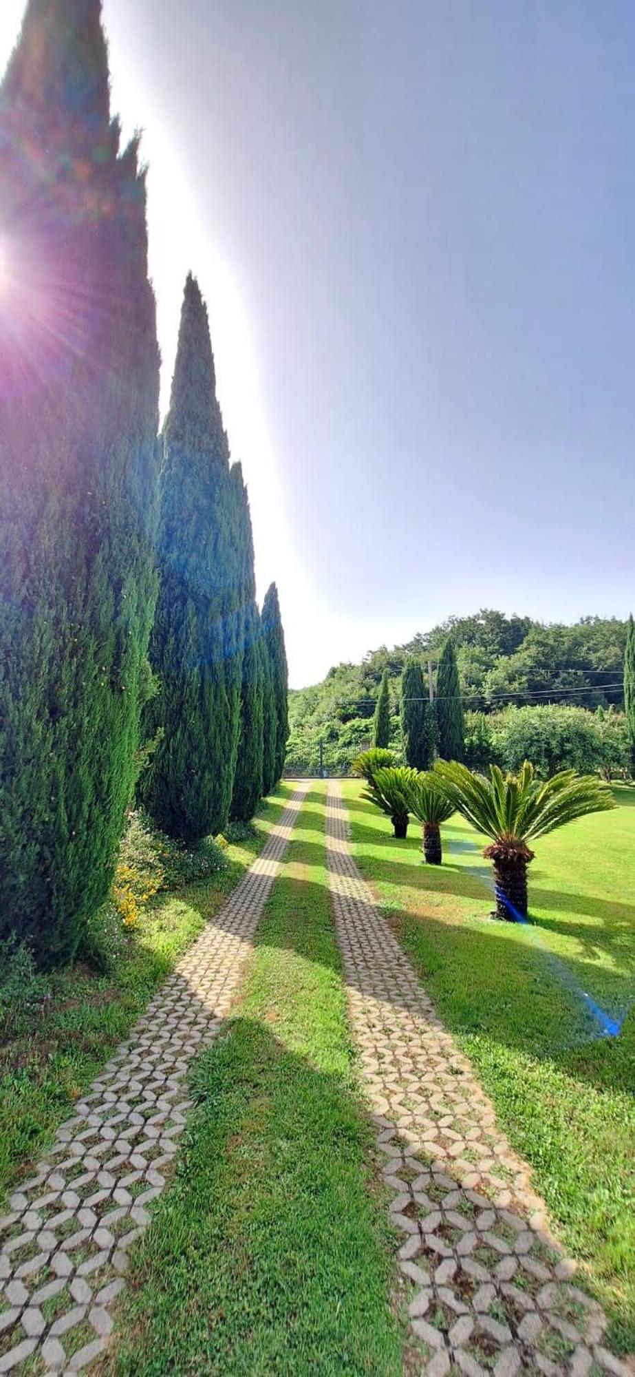 Villa Lucilla Altavilla Silentina 外观 照片