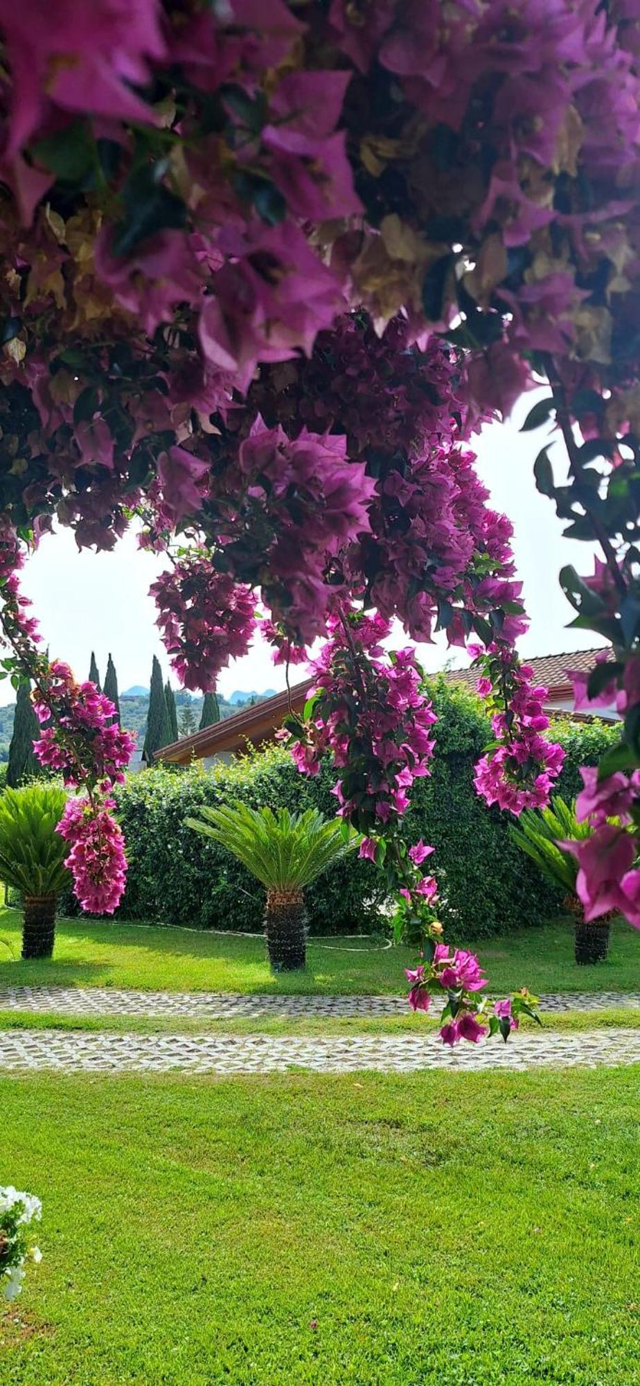 Villa Lucilla Altavilla Silentina 外观 照片