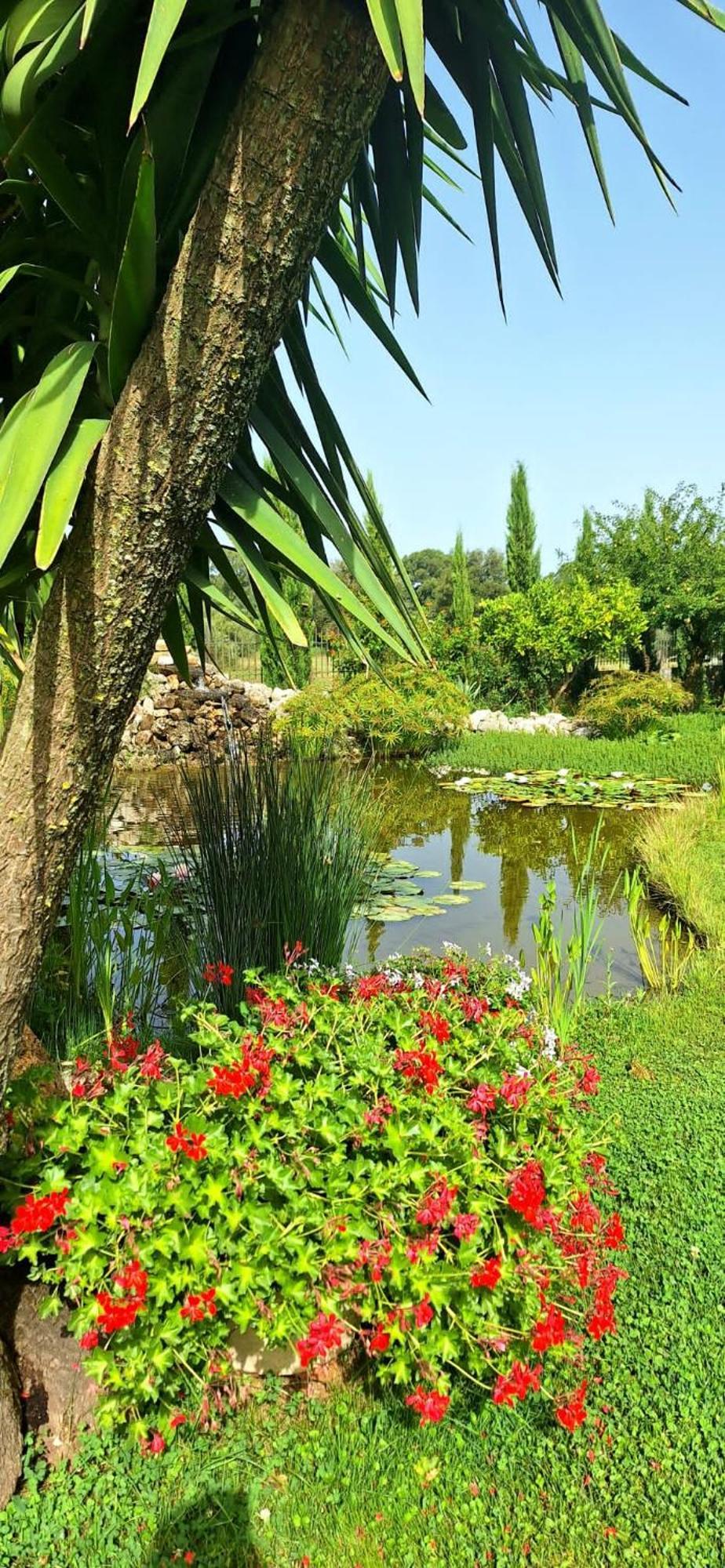 Villa Lucilla Altavilla Silentina 外观 照片