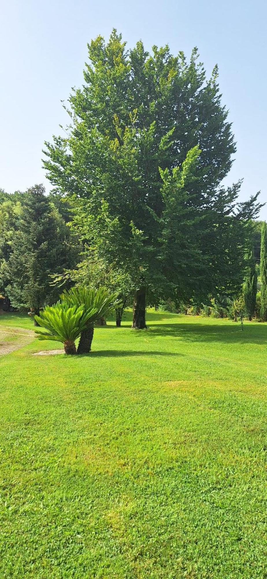 Villa Lucilla Altavilla Silentina 外观 照片