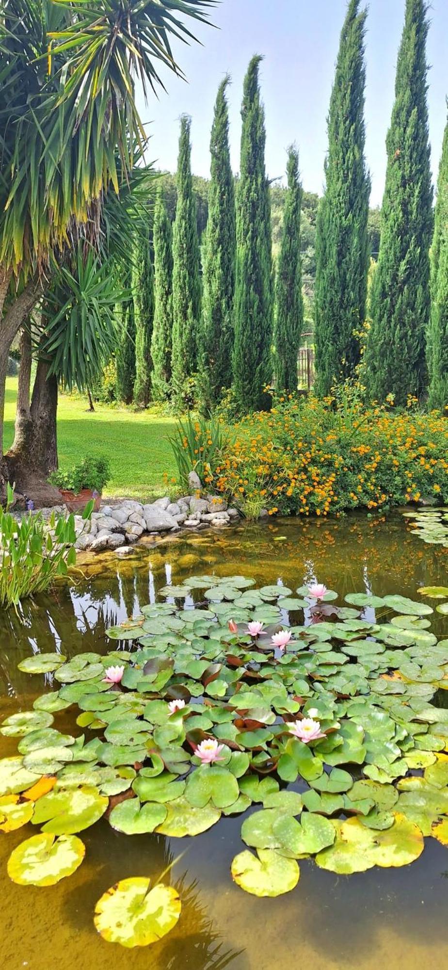 Villa Lucilla Altavilla Silentina 外观 照片
